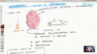 Macrolides  Azithromycin [upl. by Ollehto840]