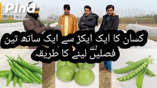 3 crops pattern in 1 acre ek sath teen fasal lenay ka triqa [upl. by Ap514]