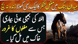 Amir Taimur Ep45  Miracle of Allah Not a Single Horse of Mughal Army Survived on the Battlefield [upl. by Aynotel]