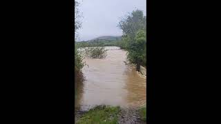 Flooding on west Cork farm [upl. by Aniat]