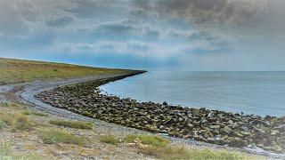 Natuurfilm  Documentaire Afsluitdijk [upl. by Tamara]