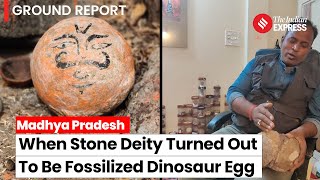 Madhya Pradesh When scientists found out that stone deity is a fossilized Dinosaur egg [upl. by Acirehs994]