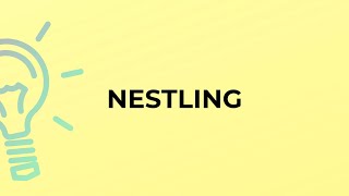 What is the meaning of the word NESTLING [upl. by Tlaw]