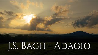 JS Bach  Adagio A short piece for strings and piano [upl. by Sueaddaht]