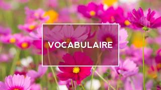 La polysémie Vocabulaire CE2 3AEP [upl. by Anitra]