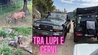 JIMNY OFFROAD  Abruzzo pt4 [upl. by Ennyrb]