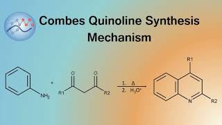 Combes Quinoline Synthesis Mechanism  Organic Chemistry [upl. by Amled]