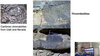 Stromatolites and Microfossils [upl. by Leafar]