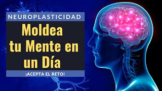 Neuroplasticidad  Transforma Tu Mente en 1 Día 🧠💡 [upl. by Alper510]