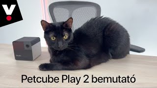 Petcube Play 2 bemutató [upl. by Austine]