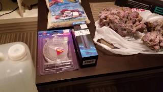 Fluval Evo V 5 Gallon Unboxing  Set up  Aquascaping  Nano Saltwater Reef Aquarium Fish Tank [upl. by Butch]