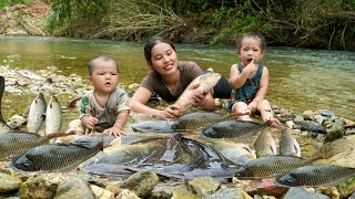 Encounter a huge school of fish  catch fish and trap fish on a rainy day  cook with your children [upl. by Liman]