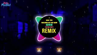 I Saw You Walking In The Rain 越南鼓 Remix Tiktok 2024 THE RAIN Remix  Hot Tiktok Douyin DJ抖音版 [upl. by Aliek909]