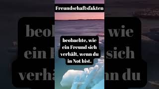 Stärke Einer Freundschaft fakten sprüche persönlichkeitsentwicklung männer frauen [upl. by Eadas]