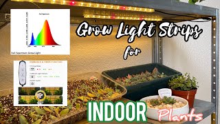 FULL SPECTRUM GROW LIGHT STRIPS REVIEW  INDOOR GROW LIGHTS growlights growlight indoorgrowlight [upl. by Eenahc]