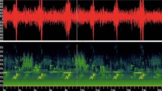 Bioacoustic Sound Sample with Visualization [upl. by Auburta]