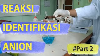 Praktikum KAD  Reaksi Identifikasi Anion 2 [upl. by Nomelc]