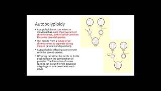 Polyploidy [upl. by Islehc]