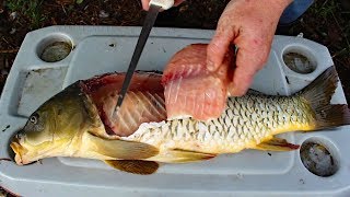 Catch and Cook Carp  How to cook carp  carp fishing tips amp carp recipe [upl. by Given]