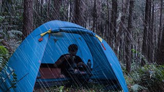 camping in heavy rain and nonstop storms sleeping in a tent feels comfortable and relaxing [upl. by Tseng700]