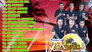 🌴Tropical Palmeras de Tampico  30 Super Exitos Inolvidables Mix Tropical Palmeras Cumbias🌴 [upl. by Gayl]