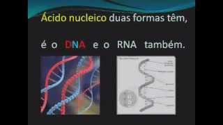 MÚSICA ÁCIDOS NUCLEICOS dna rna música biologia [upl. by Ardnat829]