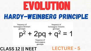 HardyWeinberg Principle  L 5  Evolution class 12th  NEET ​⁠​⁠​⁠​⁠LetmeteachBio [upl. by Aerdnuahs]