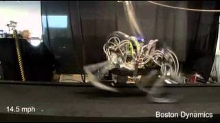 Raw Video Cheetah Robot Gallops at Record Speed [upl. by Akinor]