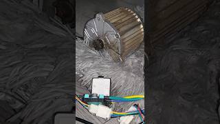 i bought a 1500w 48v motor for cheap 1500w 48v motor fyp bought trending cheap brushless [upl. by Ahsinyd]