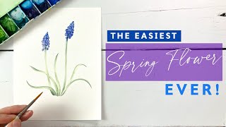 How To Paint Easy Watercolour Muscari [upl. by Anisamoht]