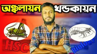 খন্ডকায়ন 🐛 ও অঞ্চলায়ন🦐।। MetamerismTagmatizationটেকনিকে টপিক শিখি২hsc biology [upl. by Orhtej927]