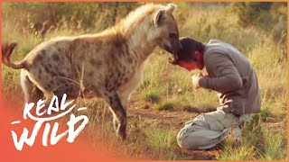 The Hyena Man Living Alongside Wild Dogs [upl. by Teriann723]