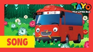 Tayo song RingA ringO Roses l Nursery Rhymes l Tayo the Little Bus [upl. by Kama]