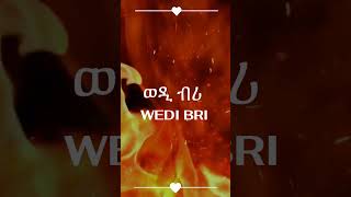 Cinema Asmara  WEDI BRI ወዲ ብሪ A MustWatch Eritrean Film 2024 [upl. by Ressan440]