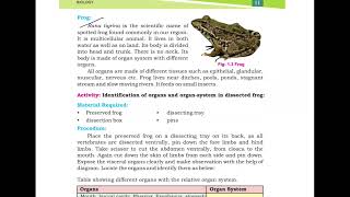 Mustard PlantBrassica Campestris and FrogRana tigrina 9th Class Biology Chapter 1Lecture 10 [upl. by Vance]