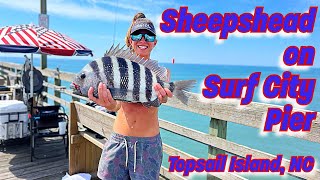 I caught my BIGGEST Sheepshead on Surf City Pier [upl. by Aznola]