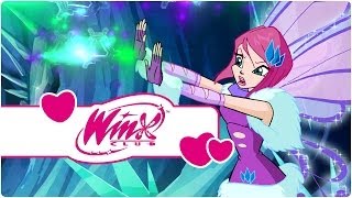 Winx Club  Temporada 4 Episódio 22  A Torre Congelada clip2 [upl. by Sivle647]