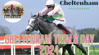 Cheltenham Trials Day Meeting Preview  Episode 13  Predictions  Tips  Selections [upl. by Dov]