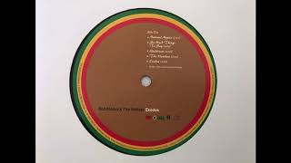 Bob Marley amp The Wailers Exodus Side One Vinyl Lp Island RecordsTuff gong reed 2015 [upl. by Alurd]