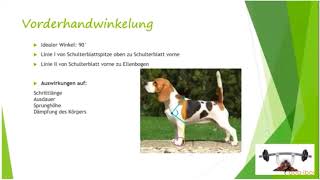 Vorschau dogibox Webinar quotFunktionelle Anatomiequot mit Carmen Heritier [upl. by Bahr]