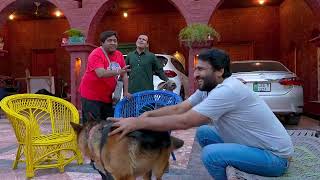 Standup Comedy By Rana Ijaz  Rana Ijaz New Video  New Dog Video Part 02  ranaijaz comedy funny [upl. by Retsev]