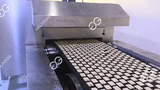 Biscuit Manufacturing Process  Complete Solution [upl. by Burton307]