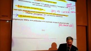 BIOLOGY CANCER VIRUSES amp THE IMMUNE SYSTEM by Professor Finkwmv [upl. by Hubie]