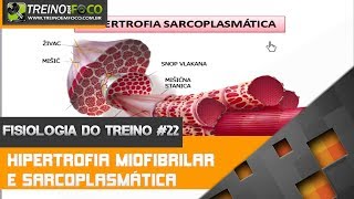 Hipertrofia Miofibrilar e Hipertrofia Sarcoplasmática  Fisiologia do Treino 22 [upl. by Salzhauer]