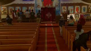 St Philopater amp St Mina Coptic Orthodox Church Live Stream [upl. by Lemmy]