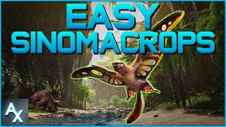 How To Easily Tame Sinomacrops  Ark Lost Island shorts [upl. by Murdock]