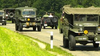 DDay Sisseln 2023 Convoy  Dodge WC 54 WC 53 Carryall Willys Jeep MB Kaiser Pinzgauer 710 712 [upl. by Yemarej72]