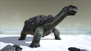 FR Ark Survival Evolved  Ep 048  La tortue Allez avance [upl. by Nelaf]