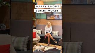 harry’s home BerlinMoabit Werbung harryshome berlin berlinmoabit reisenmithund hundehotels [upl. by Fenelia]