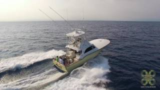 Sailfishing in Guatemala with Sailfish Oasis [upl. by Glarum698]